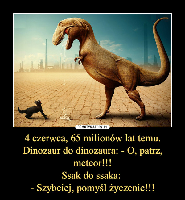 4 czerwca, 65 milionów lat temu.
Dinozaur do dinozaura: - O, patrz, meteor!!!
Ssak do ssaka: 
- Szybciej, pomyśl życzenie!!!