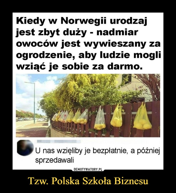 Tzw. Polska Szkoła Biznesu