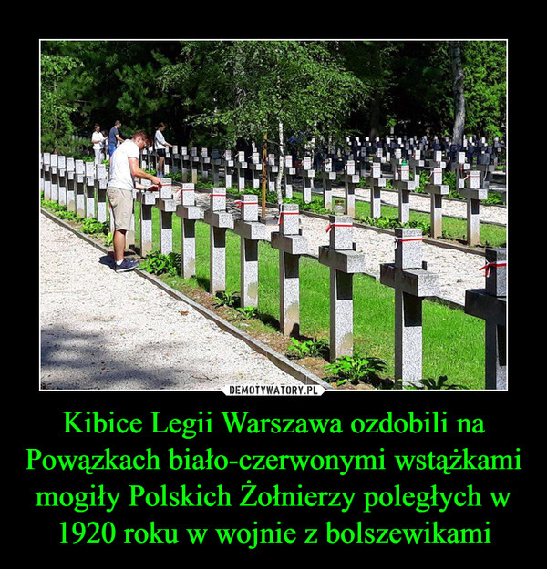 Kibice Legii Warszawa ozdobili na Powązkach biało-czerwonymi wstążkami mogiły Polskich Żołnierzy poległych w 1920 roku w wojnie z bolszewikami