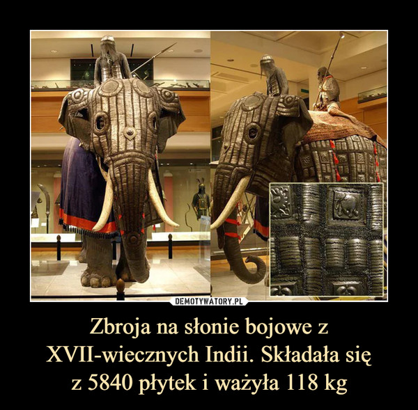 Zbroja na słonie bojowe z XVII-wiecznych Indii. Składała się
z 5840 płytek i ważyła 118 kg