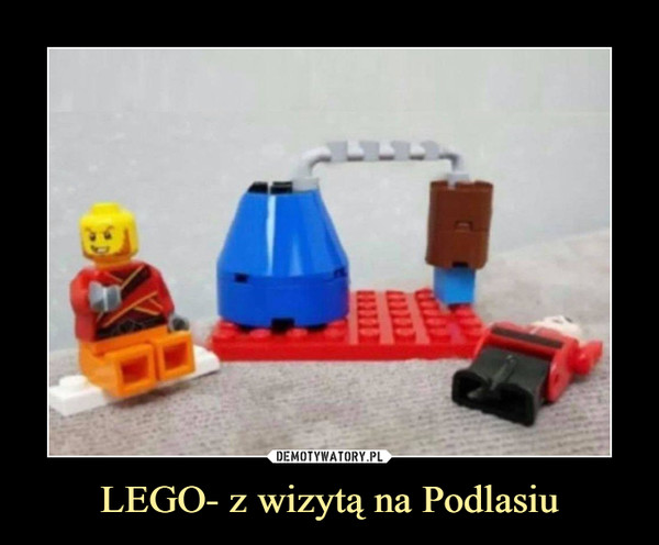 LEGO- z wizytą na Podlasiu