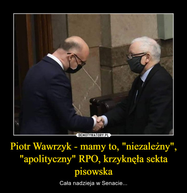 Piotr Wawrzyk - mamy to, "niezależny", "apolityczny" RPO, krzyknęła sekta pisowska – Cała nadzieja w Senacie... 