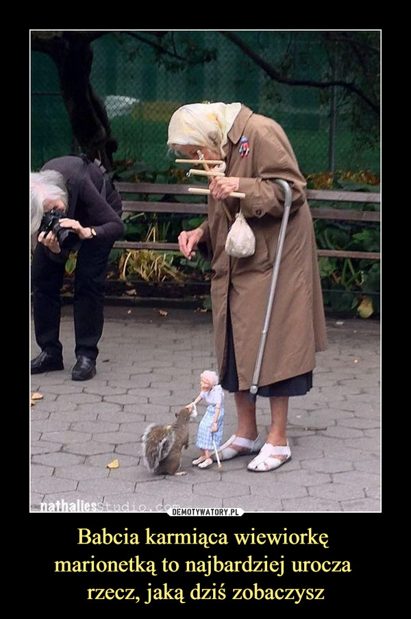 Babcia karmiąca wiewiorkę 
marionetką to najbardziej urocza 
rzecz, jaką dziś zobaczysz