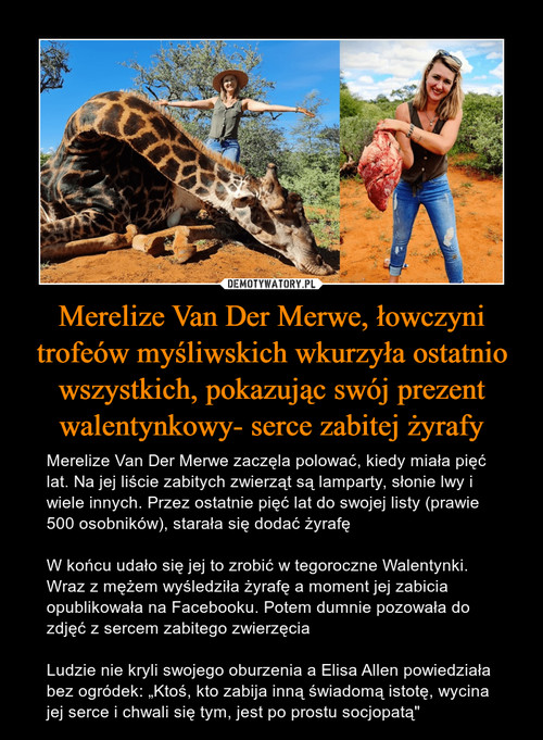 Merelize Van Der Merwe, łowczyni trofeów myśliwskich wkurzyła ostatnio wszystkich, pokazując swój prezent walentynkowy- serce zabitej żyrafy