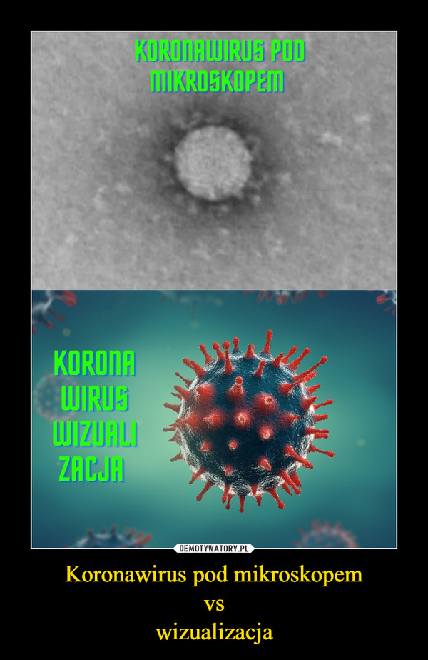 Koronawirus pod mikroskopem
vs
wizualizacja