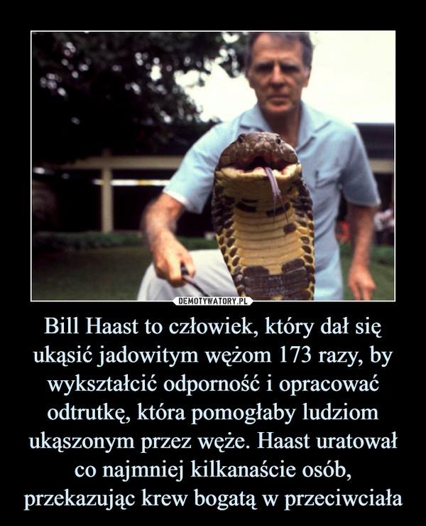 Bill Haast to człowiek, który dał się ukąsić jadowitym wężom 173 razy, by wykształcić odporność i opracować odtrutkę, która pomogłaby ludziom ukąszonym przez węże. Haast uratował co najmniej kilkanaście osób, przekazując krew bogatą w przeciwciała –  