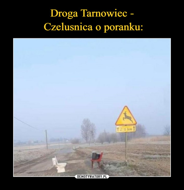 Droga Tarnowiec -
 Czelusnica o poranku:
