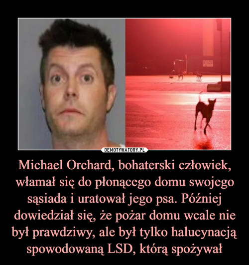 Michael Orchard, bohaterski człowiek, włamał się do płonącego domu swojego sąsiada i uratował jego psa. Później dowiedział się, że pożar domu wcale nie był prawdziwy, ale był tylko halucynacją spowodowaną LSD, którą spożywał
