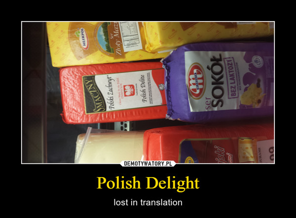 Polish Delight – lost in translation 