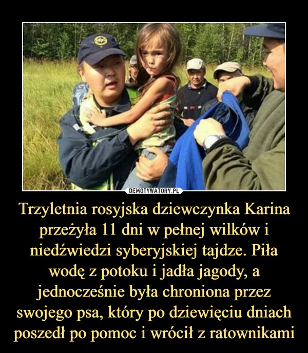 Trzyletnia rosyjska dziewczynka Karina przeżyła 11 dni w pełnej wilków i niedźwiedzi syberyjskiej tajdze. Piła wodę z potoku i jadła jagody, a jednocześnie była chroniona przez swojego psa, który po dziewięciu dniach poszedł po pomoc i wrócił z ratownikami –  