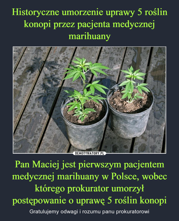 Pan Maciej jest pierwszym pacjentem medycznej marihuany w Polsce, wobec którego prokurator umorzył postępowanie o uprawę 5 roślin konopi – Gratulujemy odwagi i rozumu panu prokuratorowi 