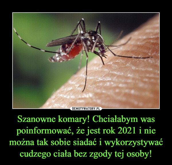 Szanowne komary! Chciałabym was poinformować, że jest rok 2021 i nie można tak sobie siadać i wykorzystywać cudzego ciała bez zgody tej osoby! –  