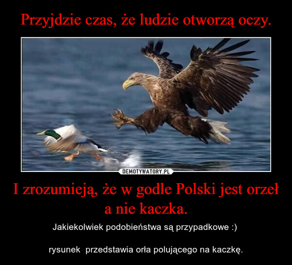 I zrozumieją, że w godle Polski jest orzeł a nie kaczka. – Jakiekolwiek podobieństwa są przypadkowe :) rysunek  przedstawia orła polującego na kaczkę. 