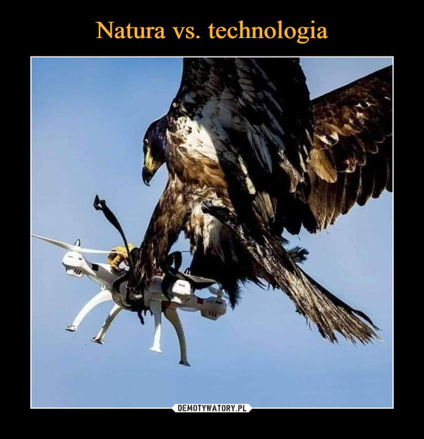 Natura vs. technologia