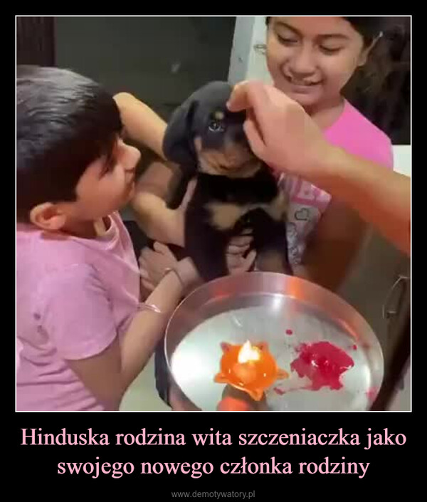Hinduska rodzina wita szczeniaczka jako swojego nowego członka rodziny –  