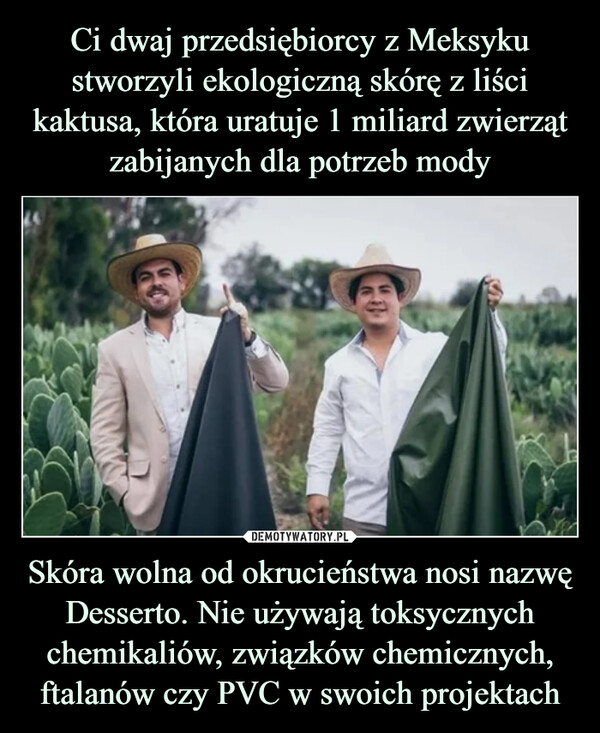 Skóra wolna od okrucieństwa nosi nazwę Desserto. Nie używają toksycznych chemikaliów, związków chemicznych, ftalanów czy PVC w swoich projektach –  