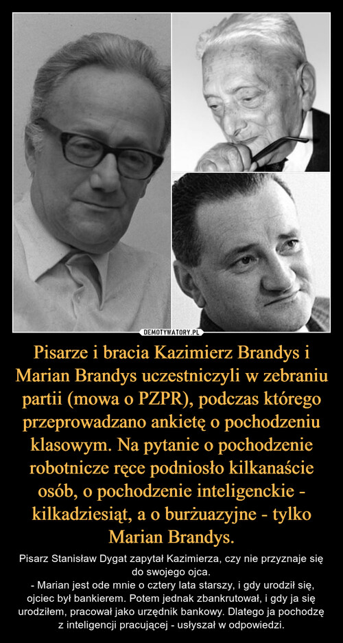 Pisarze i bracia Kazimierz Brandys i Marian Brandys uczestniczyli w zebraniu partii (mowa o PZPR), podczas którego przeprowadzano ankietę o pochodzeniu klasowym. Na pytanie o pochodzenie robotnicze ręce podniosło kilkanaście osób, o pochodzenie inteligenckie - kilkadziesiąt, a o burżuazyjne - tylko Marian Brandys.