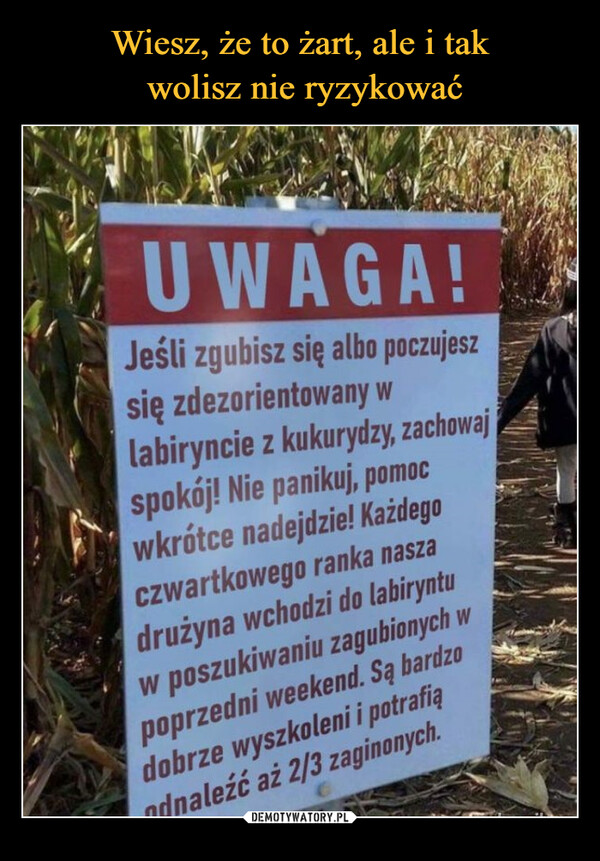  –  Jeśli zgubisz się albo poczujeszSię zdezorientowany wlabiryncie z kukurydzy, zachowajspokój! Nie panikuj, pomocwkrótce nadejdzie! KażdegoCzwartkowego ranka naszadrużyna wchodzi do labiryntuw poszukiwaniu zagubionych wpoprzedni weekend. Sa bardzodobrze wyszkoleni i potrafiąodnaleźć až 2/3 zaginionych.