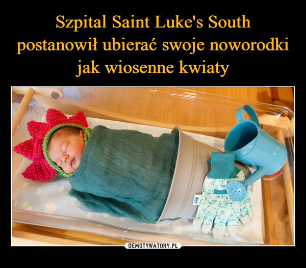 Szpital Saint Luke's South postanowił ubierać swoje noworodki jak wiosenne kwiaty