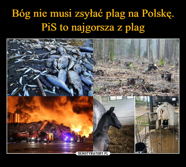 Bóg nie musi zsyłać plag na Polskę. PiS to najgorsza z plag