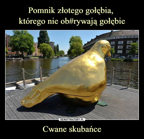 Pomnik złotego gołębia, 
którego nie ob#rywają gołębie Cwane skubańce