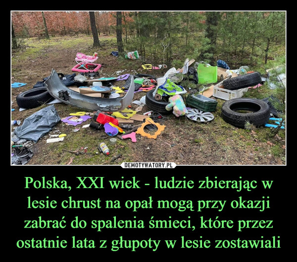 Polska, XXI wiek - ludzie zbierając w lesie chrust na opał mogą przy okazji zabrać do spalenia śmieci, które przez ostatnie lata z głupoty w lesie zostawiali –  