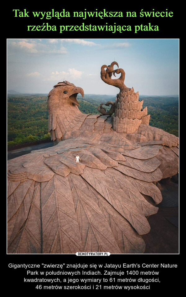 Tak wygląda największa na świecie rzeźba przedstawiająca ptaka