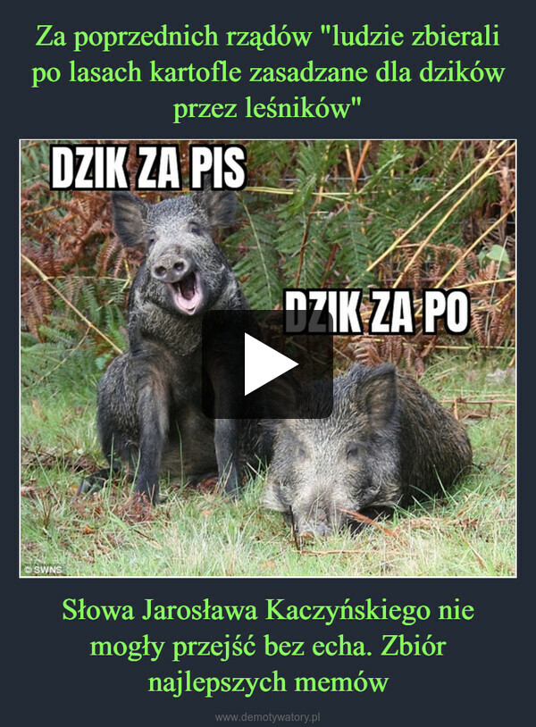 Słowa Jarosława Kaczyńskiego nie mogły przejść bez echa. Zbiór najlepszych memów –  