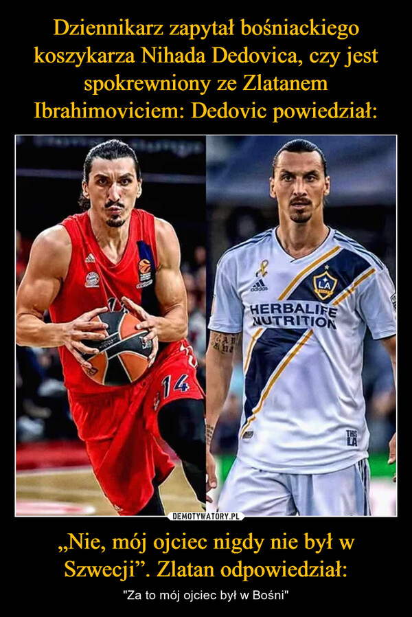 Dziennikarz zapytał bośniackiego koszykarza Nihada Dedovica, czy jest spokrewniony ze Zlatanem Ibrahimoviciem: Dedovic powiedział: „Nie, mój ojciec nigdy nie był w Szwecji”. Zlatan odpowiedział: