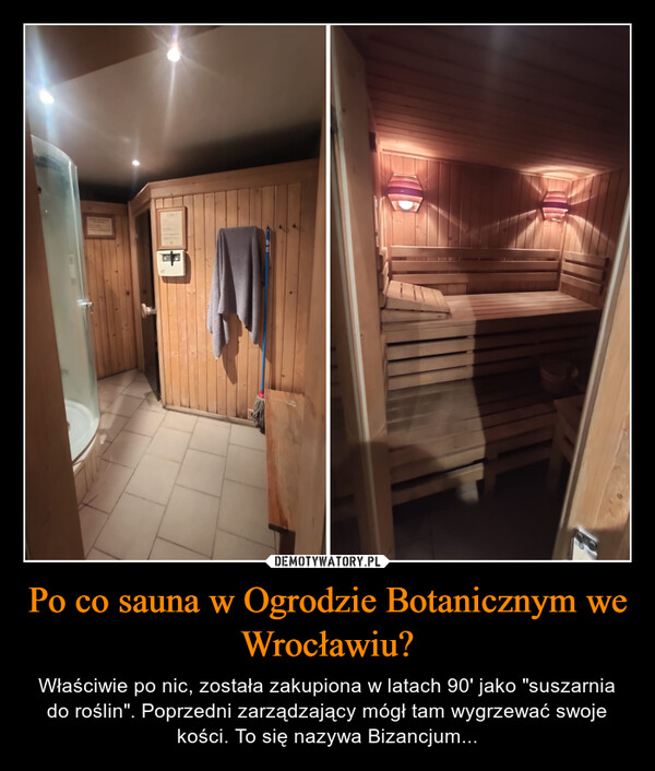 Po co sauna w Ogrodzie Botanicznym we Wrocławiu? – Właściwie po nic, została zakupiona w latach 90' jako "suszarnia do roślin". Poprzedni zarządzający mógł tam wygrzewać swoje kości. To się nazywa Bizancjum... 