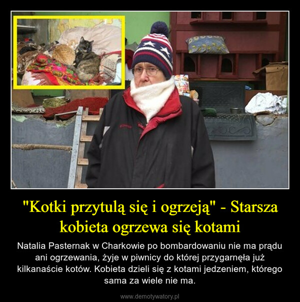 "Kotki przytulą się i ogrzeją" - Starsza kobieta ogrzewa się kotami – Natalia Pasternak w Charkowie po bombardowaniu nie ma prądu ani ogrzewania, żyje w piwnicy do której przygarnęła już kilkanaście kotów. Kobieta dzieli się z kotami jedzeniem, którego sama za wiele nie ma. 