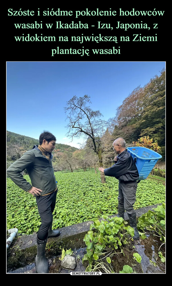 Szóste i siódme pokolenie hodowców wasabi w Ikadaba - Izu, Japonia, z widokiem na największą na Ziemi plantację wasabi