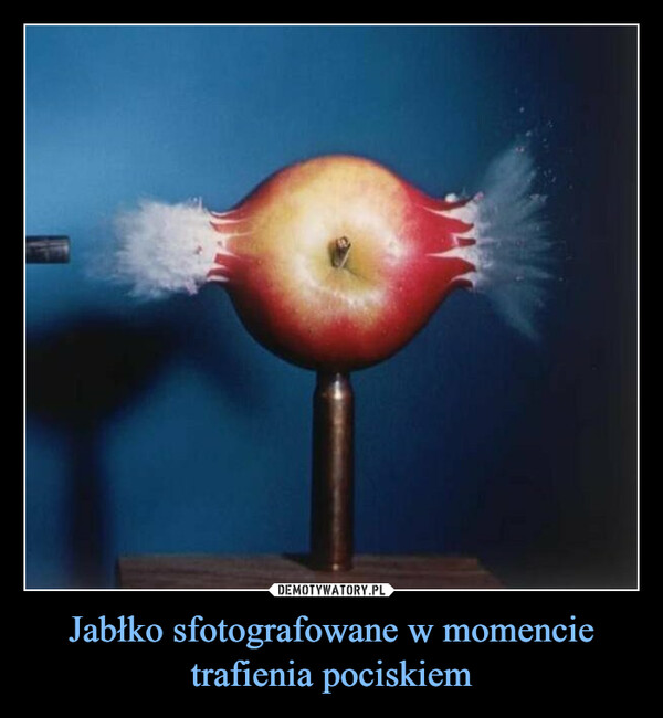 Jabłko sfotografowane w momencie trafienia pociskiem –  
