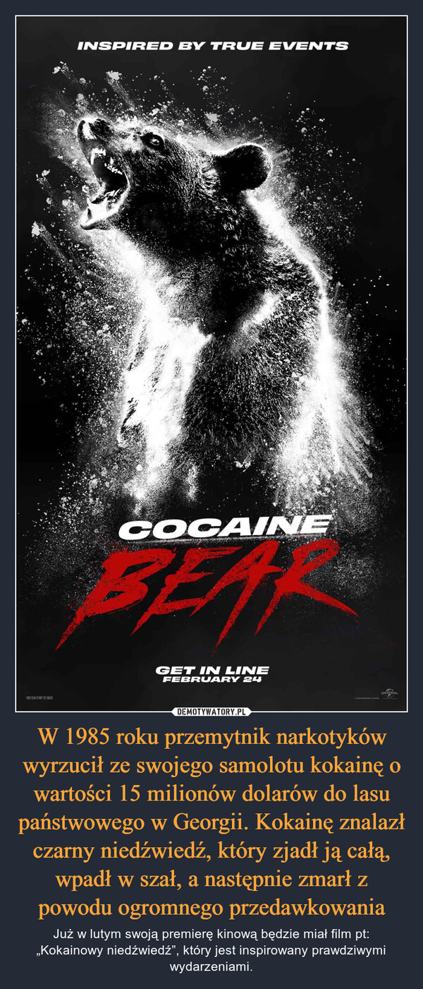 W 1985 roku przemytnik narkotyków wyrzucił ze swojego samolotu kokainę o wartości 15 milionów dolarów do lasu państwowego w Georgii. Kokainę znalazł czarny niedźwiedź, który zjadł ją całą, wpadł w szał, a następnie zmarł z powodu ogromnego przedawkowania – Już w lutym swoją premierę kinową będzie miał film pt: „Kokainowy niedźwiedź”, który jest inspirowany prawdziwymi wydarzeniami. 