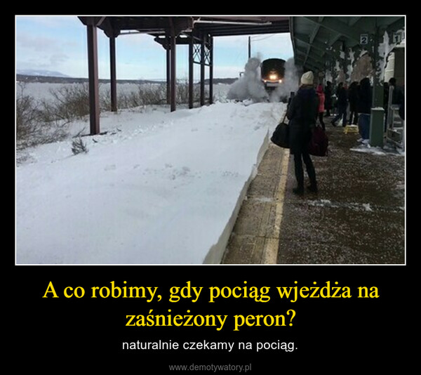 A co robimy, gdy pociąg wjeżdża na zaśnieżony peron? – naturalnie czekamy na pociąg. 