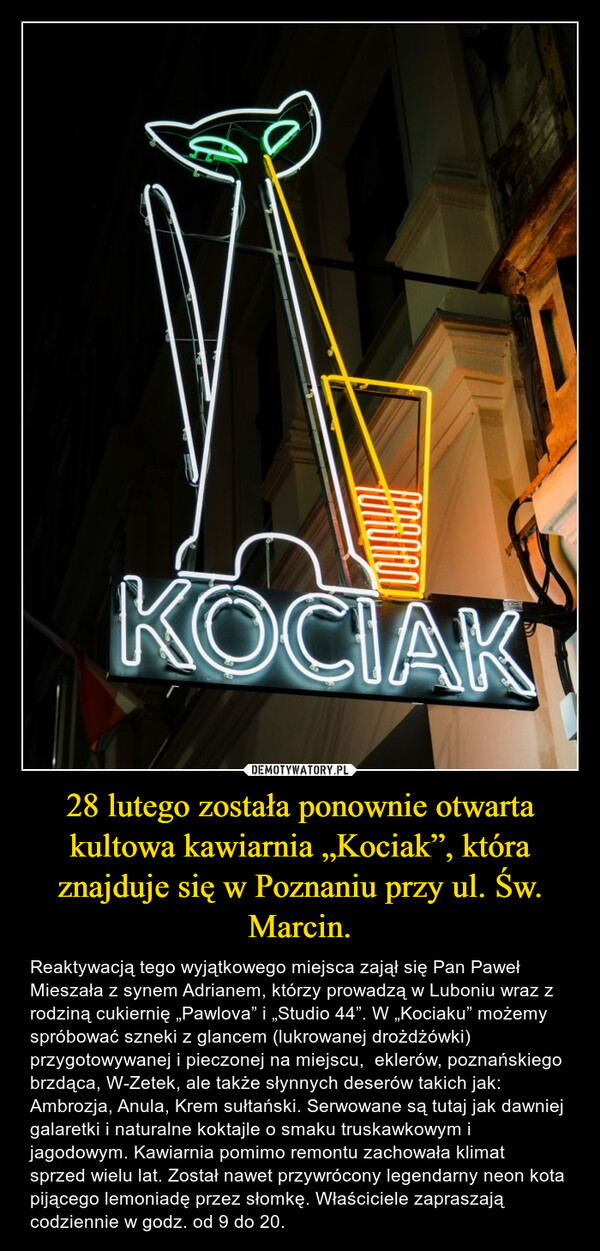 28 lutego została ponownie otwarta kultowa kawiarnia „Kociak”, która znajduje się w Poznaniu przy ul. Św. Marcin.