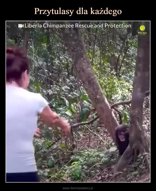  –  Liberia Chimpanzee Rescue and ProtectionKindermi**Important Note: Chimps are not pets! This baby neededrescue after losing mom to bushmeat and the illegal pet trade.