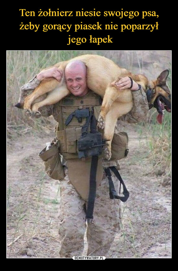 Ten żołnierz niesie swojego psa, żeby gorący piasek nie poparzył
 jego łapek