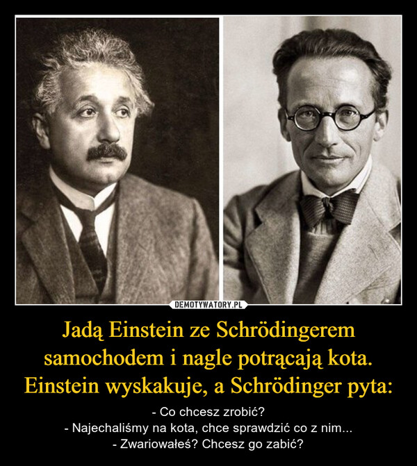 Jadą Einstein ze Schrödingerem samochodem i nagle potrącają kota. Einstein wyskakuje, a Schrödinger pyta: – - Co chcesz zrobić?- Najechaliśmy na kota, chce sprawdzić co z nim...- Zwariowałeś? Chcesz go zabić? 