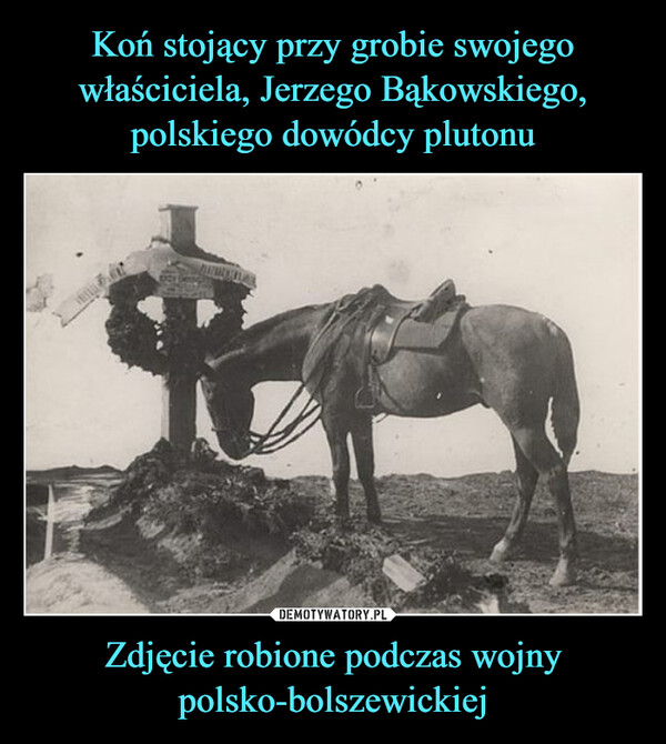 Zdjęcie robione podczas wojny polsko-bolszewickiej –  ETHNER