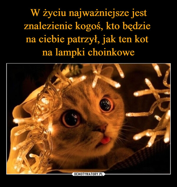  –  