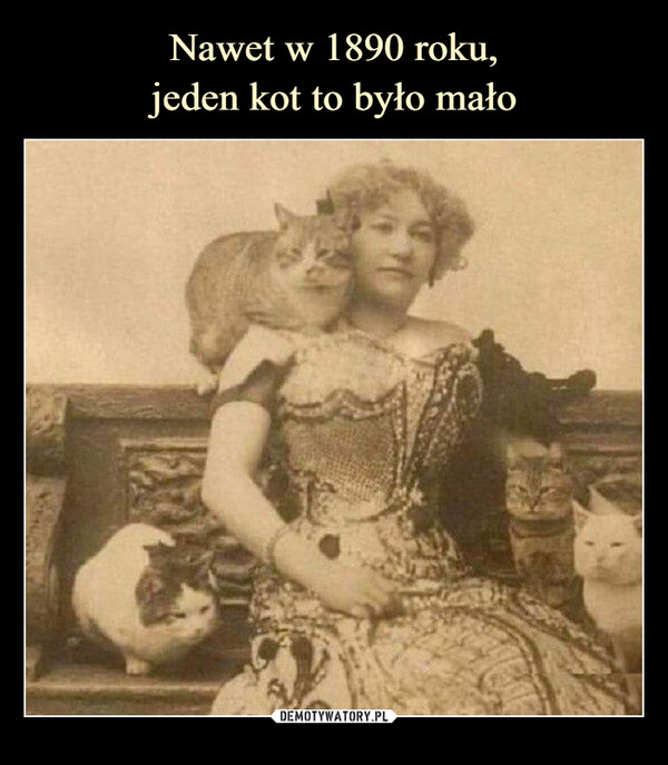 Nawet w 1890 roku,
jeden kot to było mało