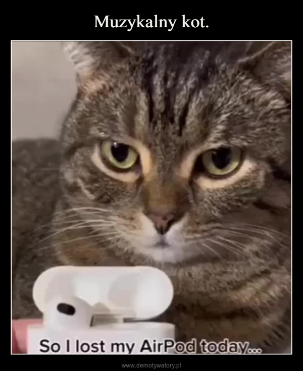  –  So I lost my AirPod today...