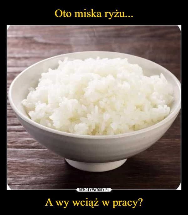 Oto miska ryżu... A wy wciąż w pracy?