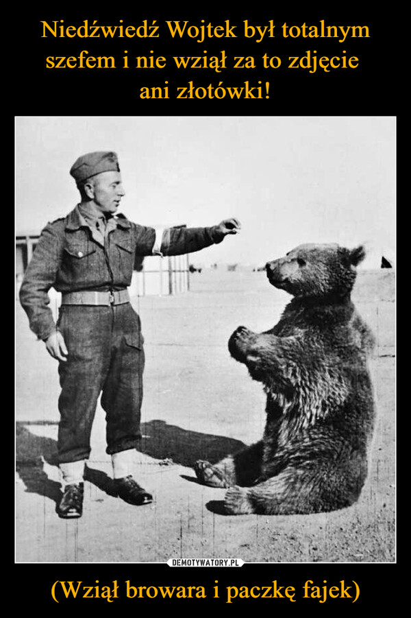 Niedźwiedź Wojtek był totalnym szefem i nie wziął za to zdjęcie 
ani złotówki! (Wziął browara i paczkę fajek)