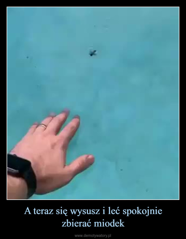 A teraz się wysusz i leć spokojnie zbierać miodek –  