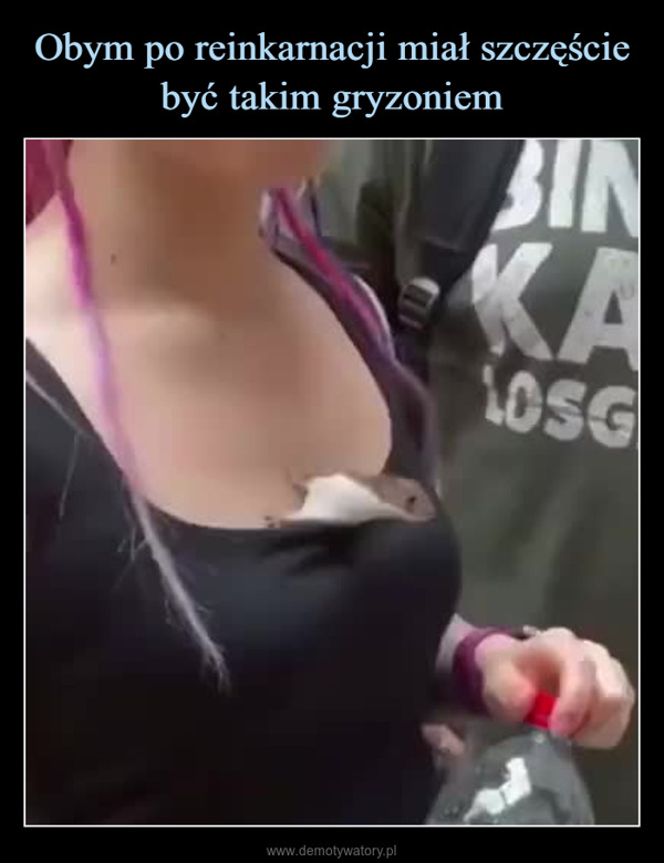  –  BINKALOSGREPTILCBATИСТОЧ