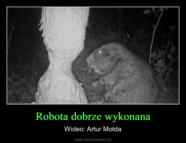 Robota dobrze wykonana – Wideo: Artur Mołda 