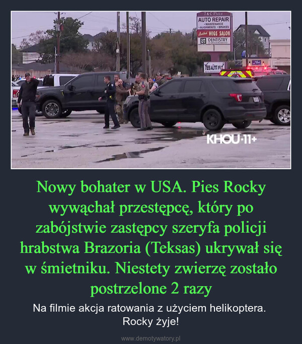 Nowy bohater w USA. Pies Rocky wywąchał przestępcę, który po zabójstwie zastępcy szeryfa policji hrabstwa Brazoria (Teksas) ukrywał się w śmietniku. Niestety zwierzę zostało postrzelone 2 razy – Na filmie akcja ratowania z użyciem helikoptera. Rocky żyje! T&C PlazaAUTO REPAIRMAINTENANCEALIGNMENTS BRAKESBethel WIGS SALONDENTISTRYS GRIGORYPASSADYES AUTO FIXKHOU⭑11+