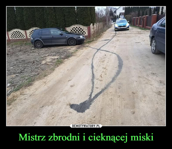 Mistrz zbrodni i cieknącej miski –  